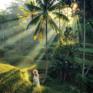bali1